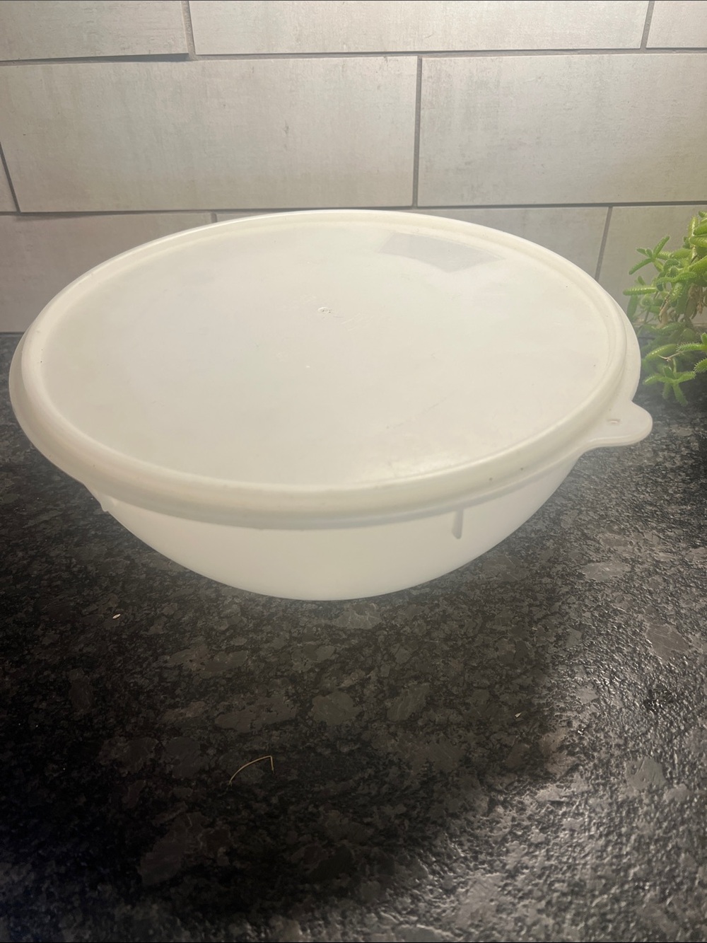 Eagle White Plastic Mixing Bowl with Lid - window on lid Food Storage